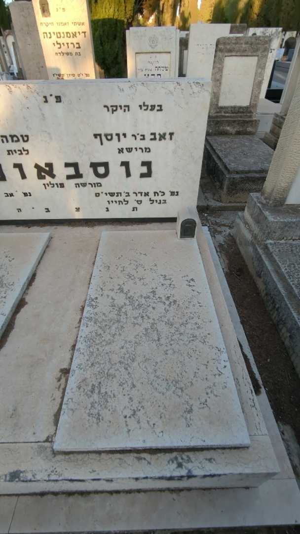 קברו של זאב נוסבאום. תמונה 1