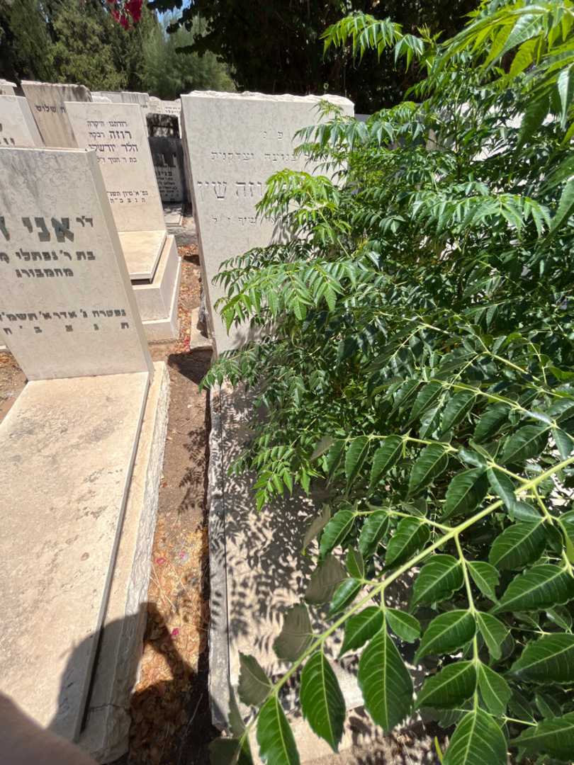 קברו של רייזל רוזה שין. תמונה 1