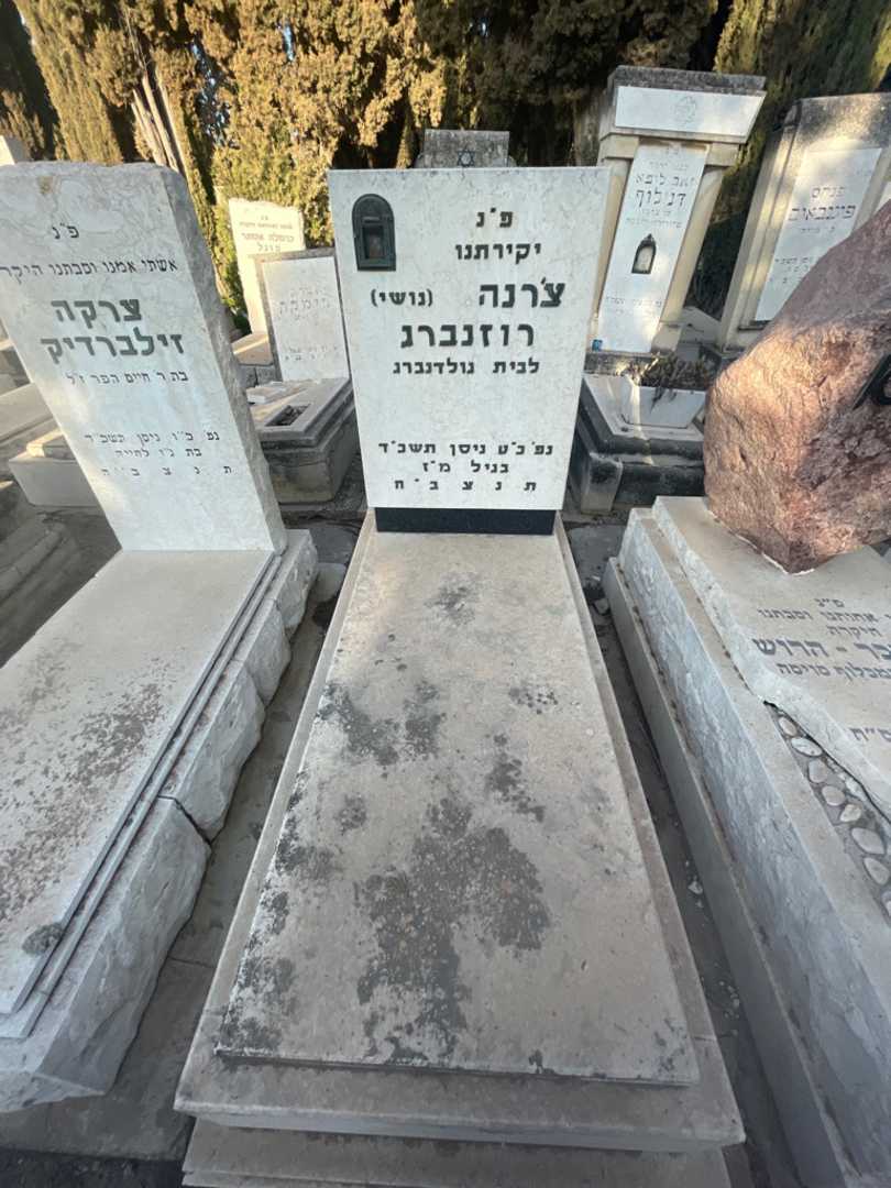 קברו של צ'רנה "נושי" רוזנברג