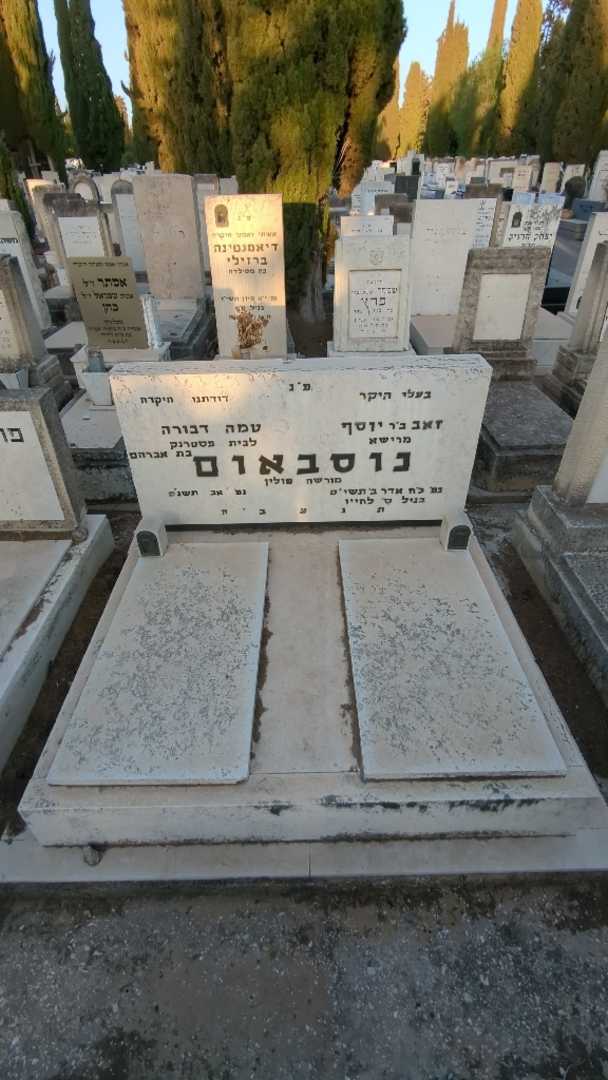 קברו של זאב נוסבאום. תמונה 2