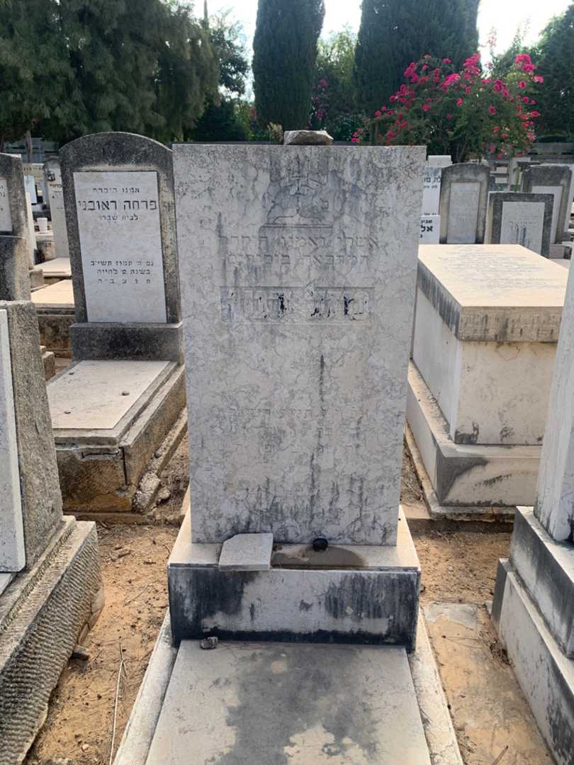 קברו של מזל דנון