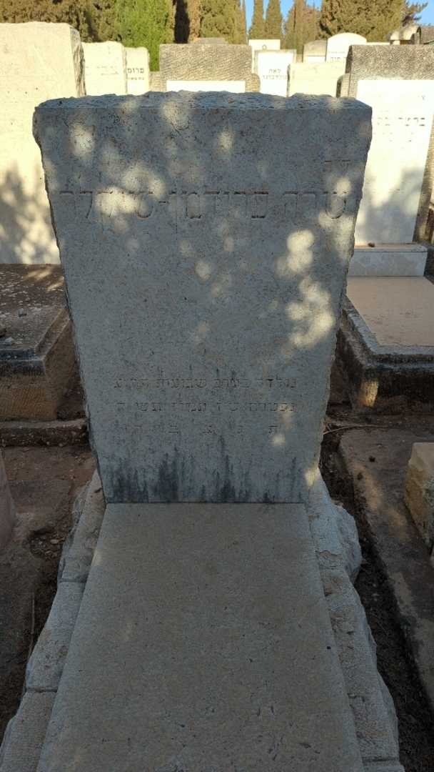 קברו של שרה פרידמן-שיקלר