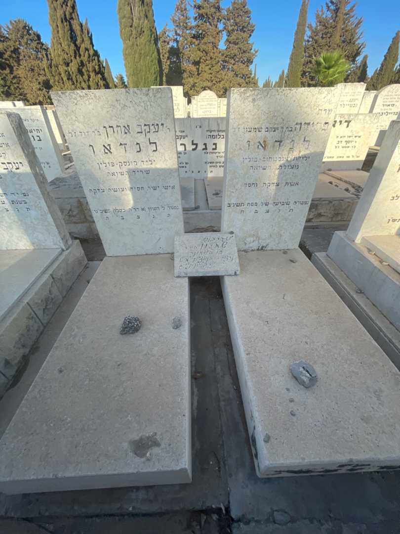 קברו של פרידה לנדאו. תמונה 1