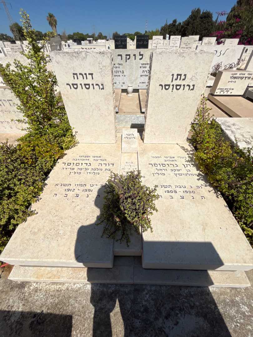 קברו של דורה גרוסוסר. תמונה 1