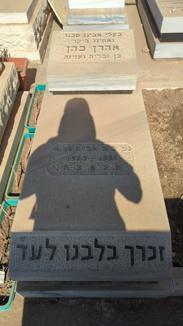 קברו של אהרן כהן. תמונה 1