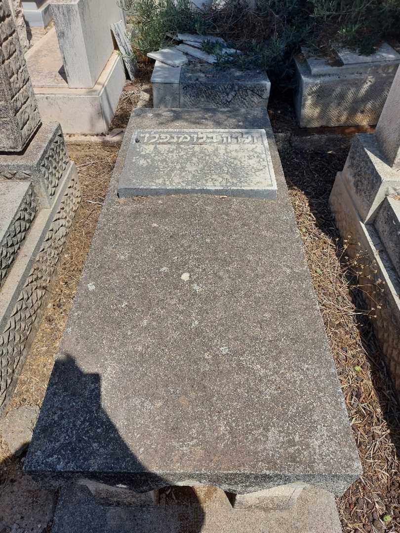 קברו של זלדה בלומנפלד