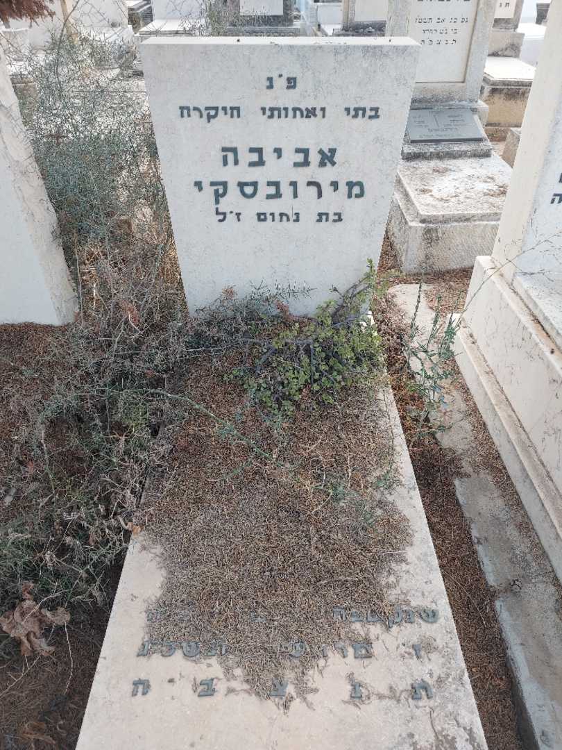 קברו של אביבה מירובסקי