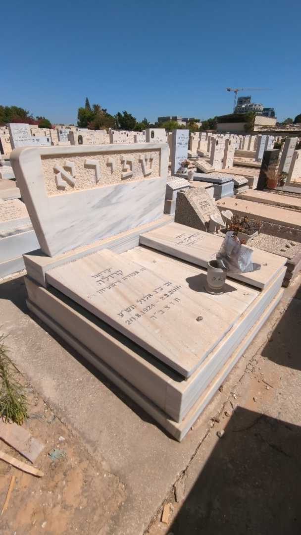 קברו של קרולה שפירא. תמונה 2