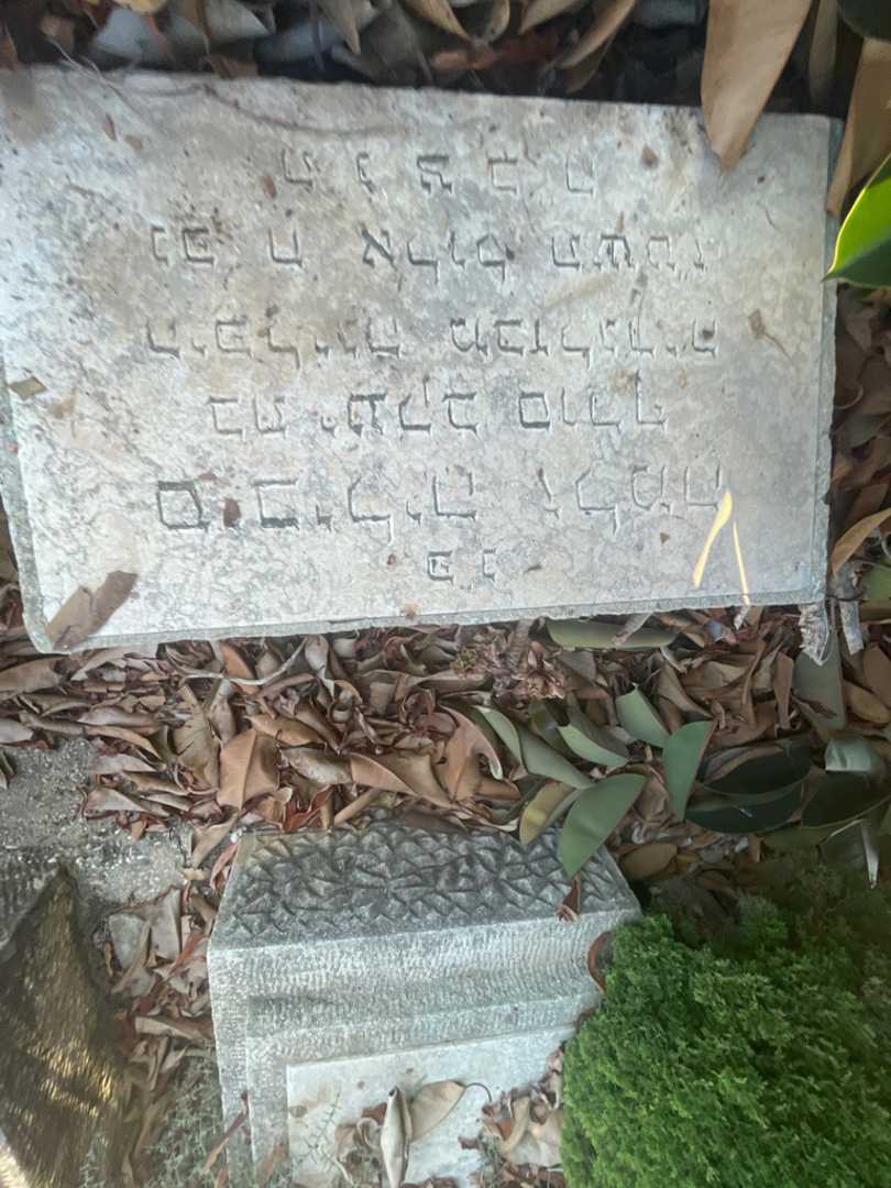 קברו של סיביליה זלמה סורף. תמונה 2