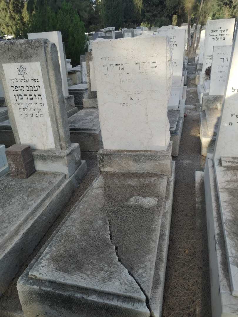 קברו של בירך הנדלר