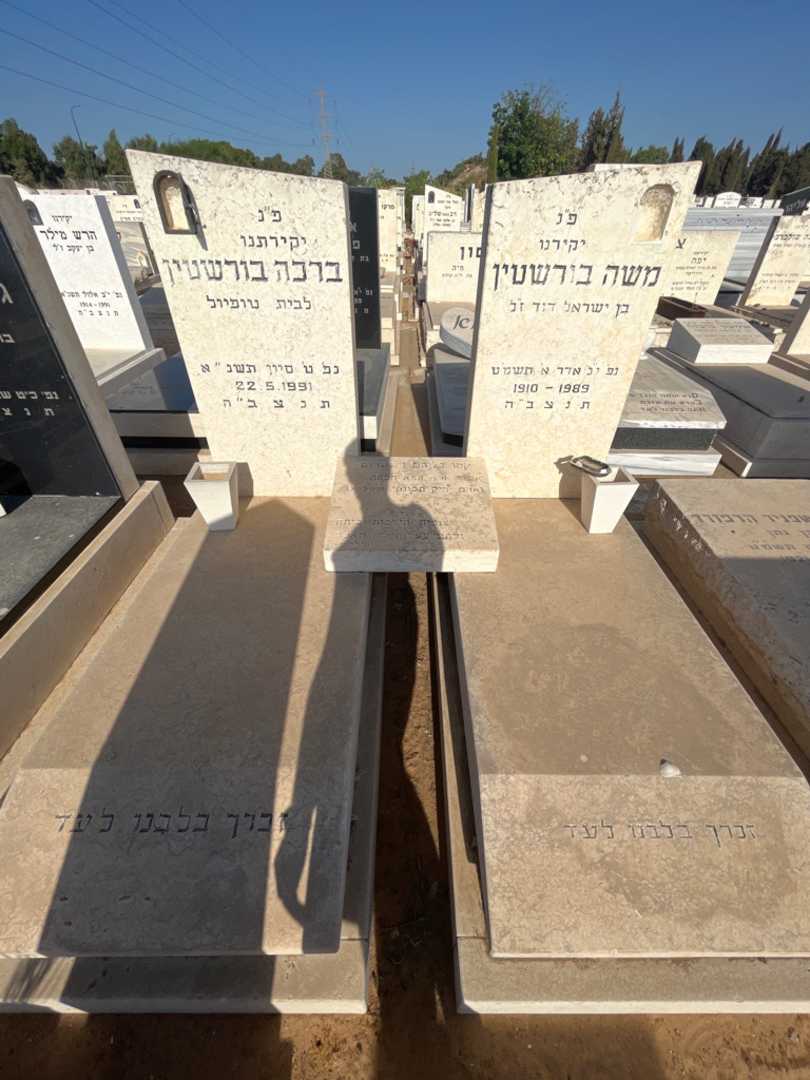 קברו של משה בורשטין. תמונה 2