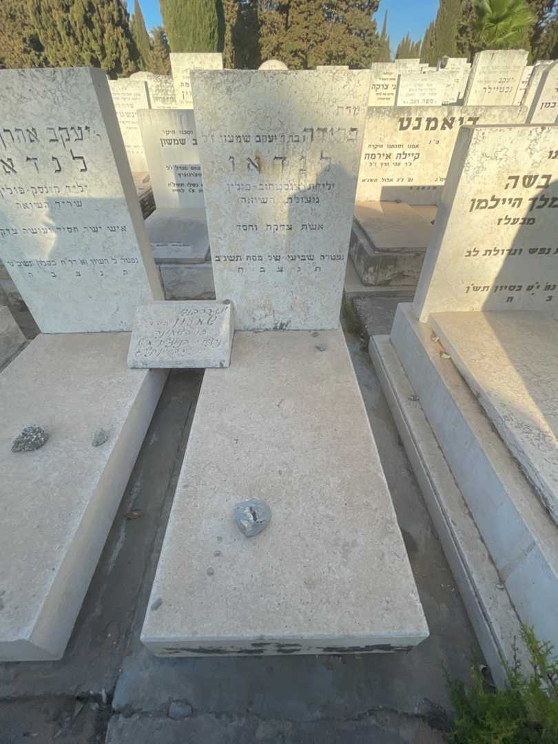 קברו של פרידה לנדאו. תמונה 2