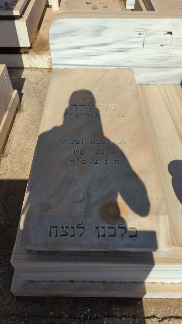 קברו של מתילדה בכר. תמונה 1