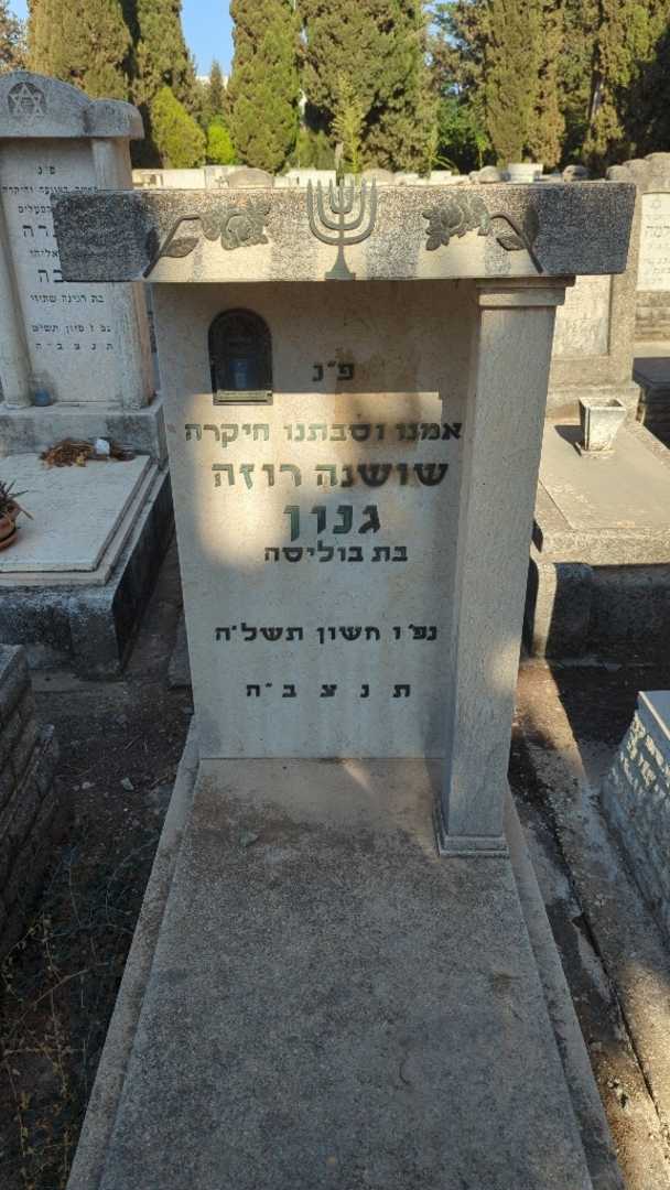 קברו של שושנה רוזה גנון. תמונה 1