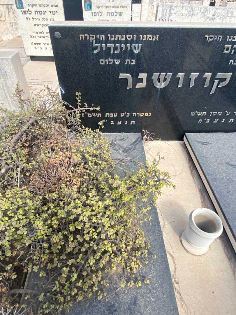 קברו של שיינדיל קוזושנר. תמונה 2
