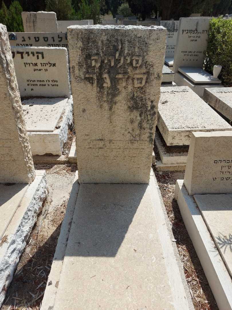קברו של סילויה סדגר
