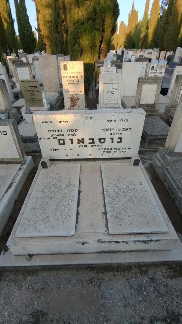 קברו של טמה דבורה נוסבאום. תמונה 1