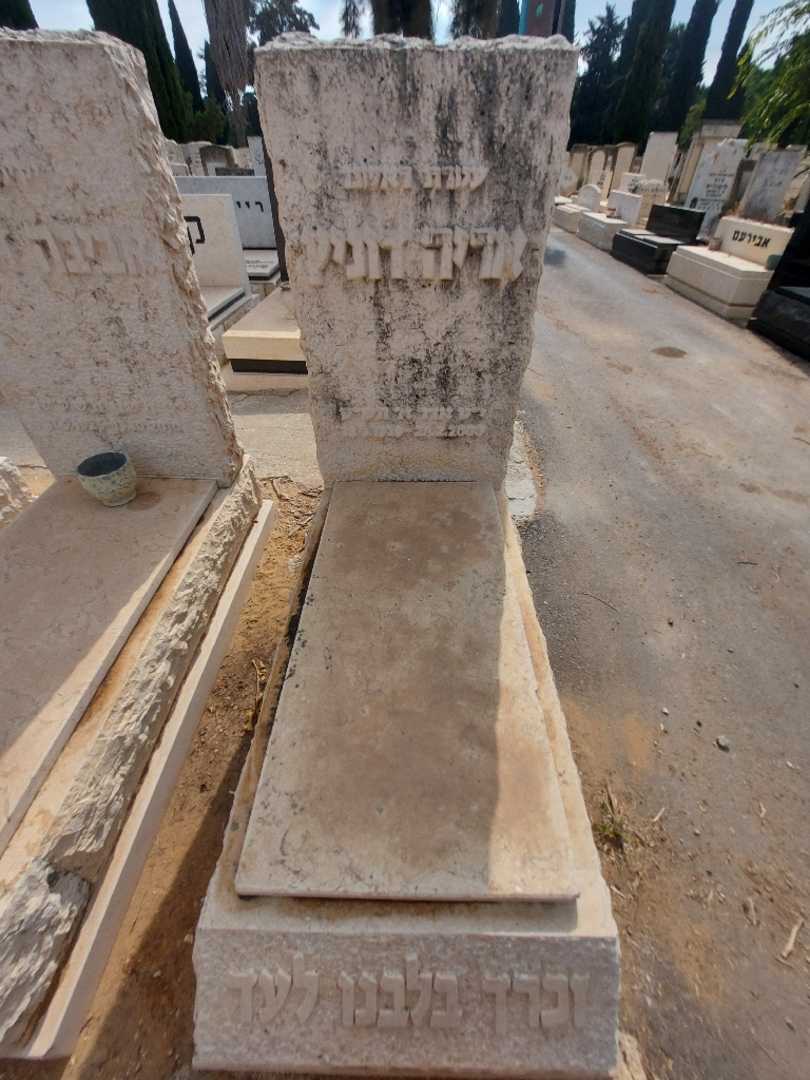 קברו של אריה דוניץ