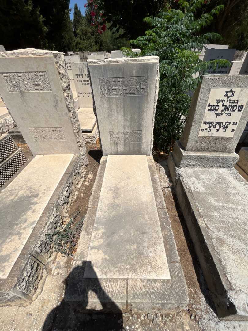 קברו של דזידר ליפקוביץ