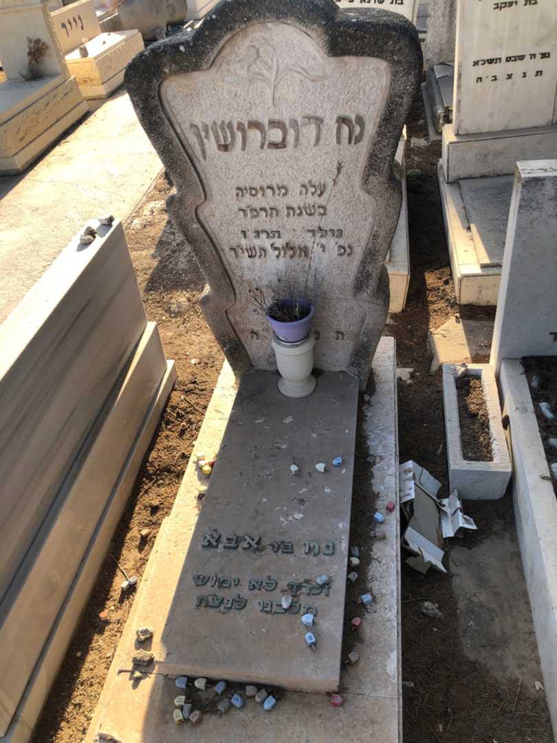 קברו של נח דוברושין