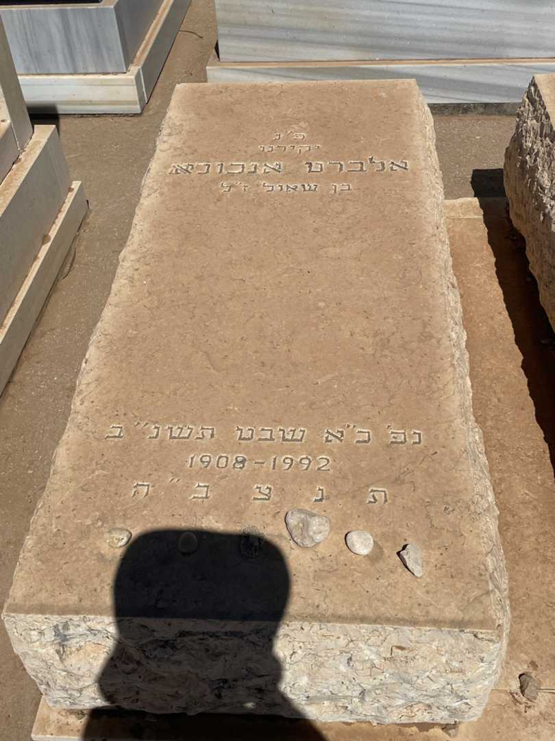 קברו של אלברט אנלוגא. תמונה 2