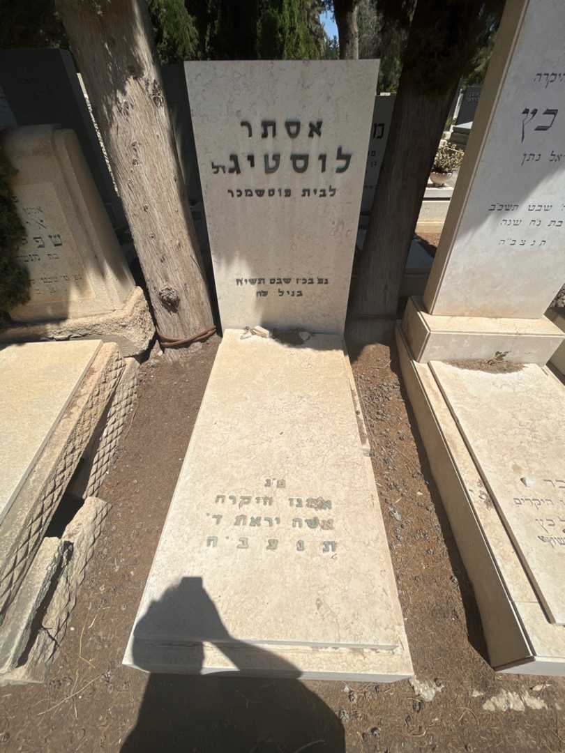 קברו של אסתר לוסטיג