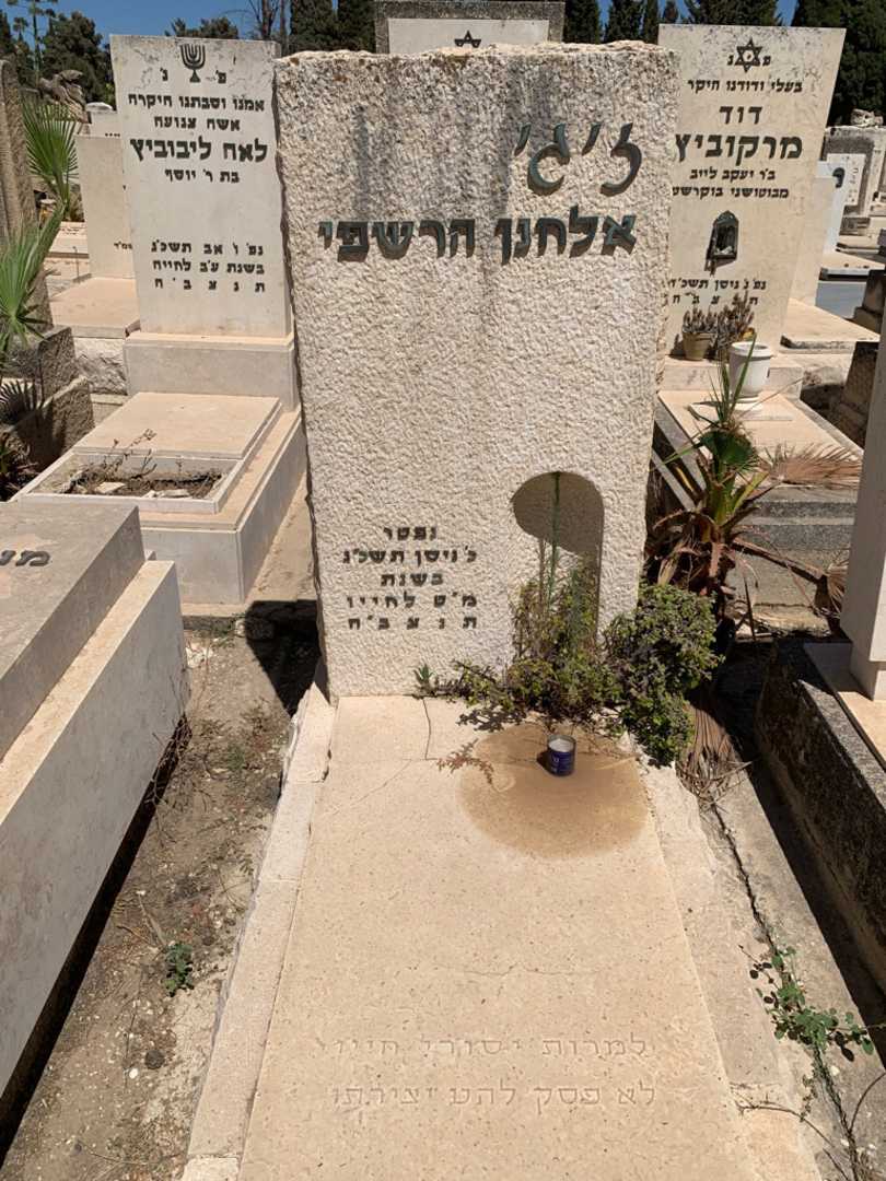 קברו של זיגי אלחנן חרשפי. תמונה 1
