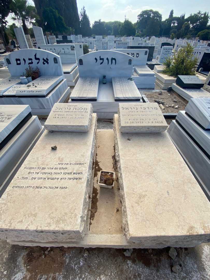 קברו של מרדכי ניראל (מירושניצ'נקו). תמונה 2