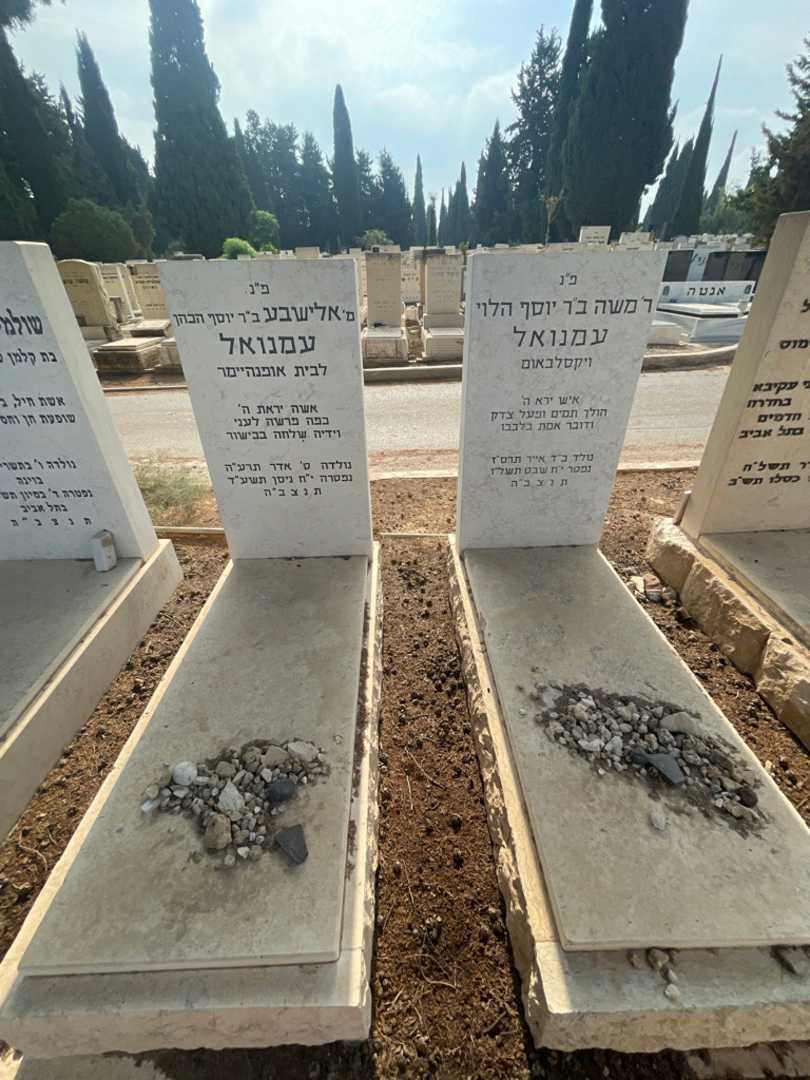 קברו של אלישבע עמנואל. תמונה 1