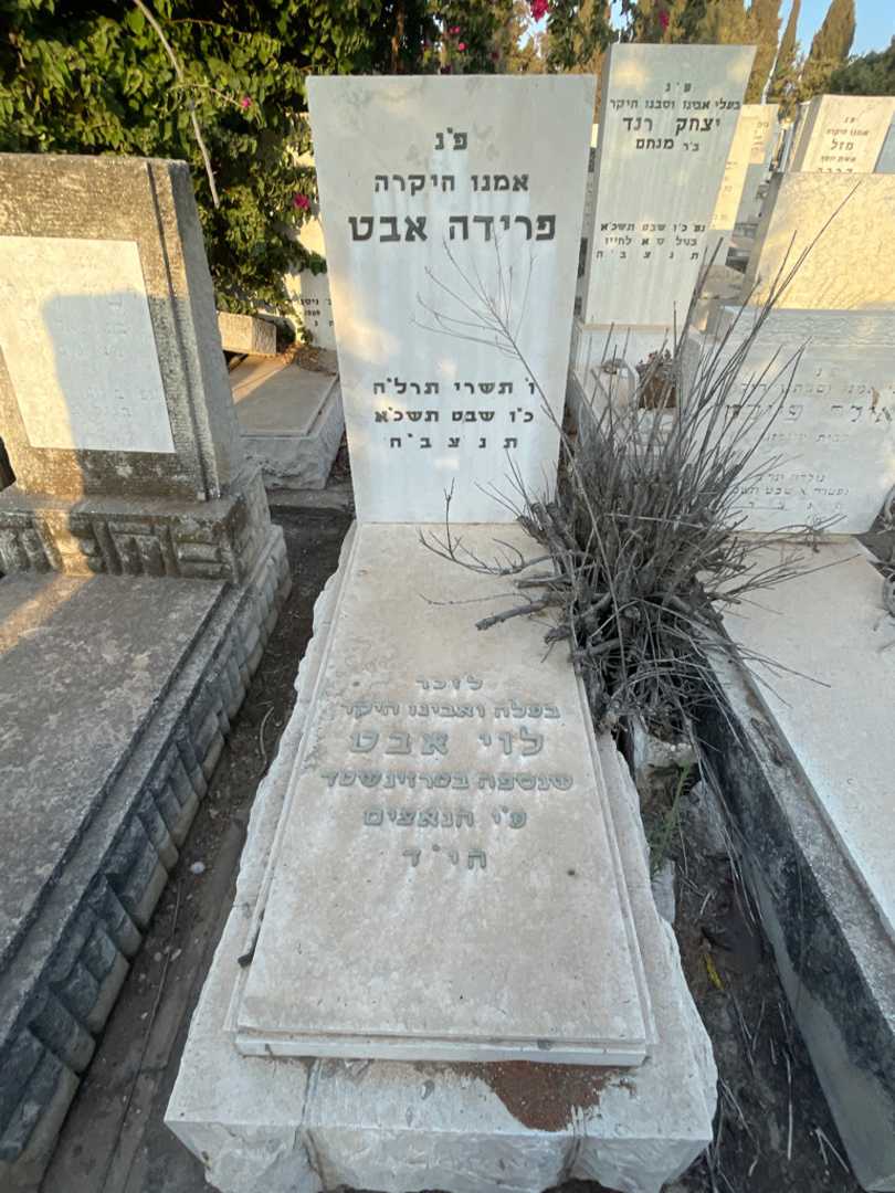 קברו של לוי אבט