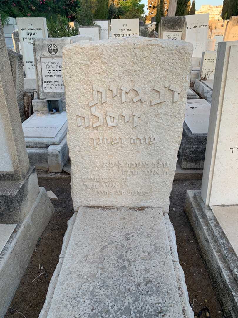 קברו של ד'ב גזית זיסלה