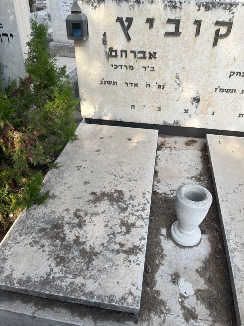 קברו של אברהם ברקוביץ. תמונה 2