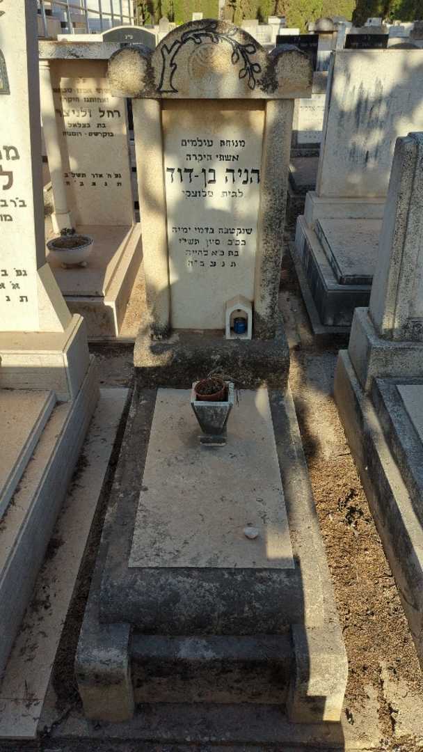 קברו של הניה בן-דוד