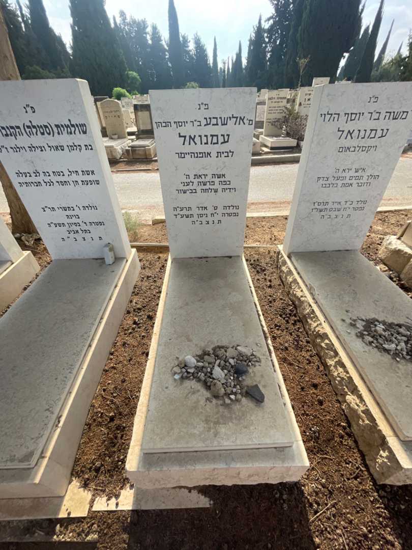 קברו של אלישבע עמנואל. תמונה 2