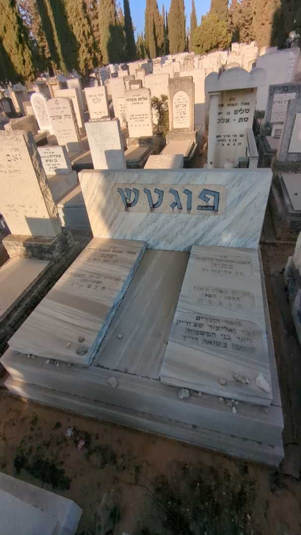 קברו של בתיה פוגטש. תמונה 2