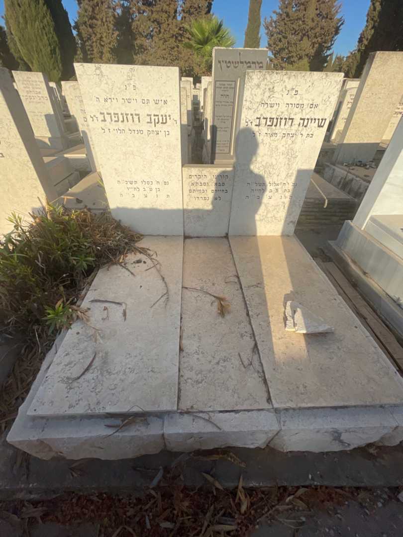 קברו של יעקב רוזנפרב. תמונה 1