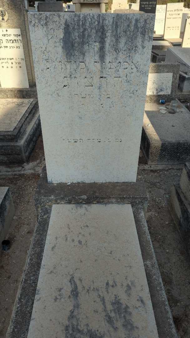 קברו של אליעזר לודויג הרצוג