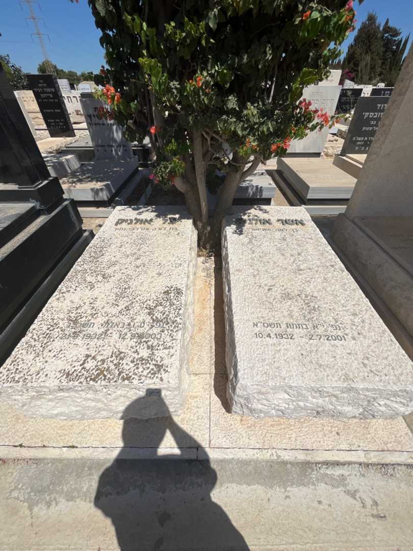 קברו של אשר אולניק. תמונה 1