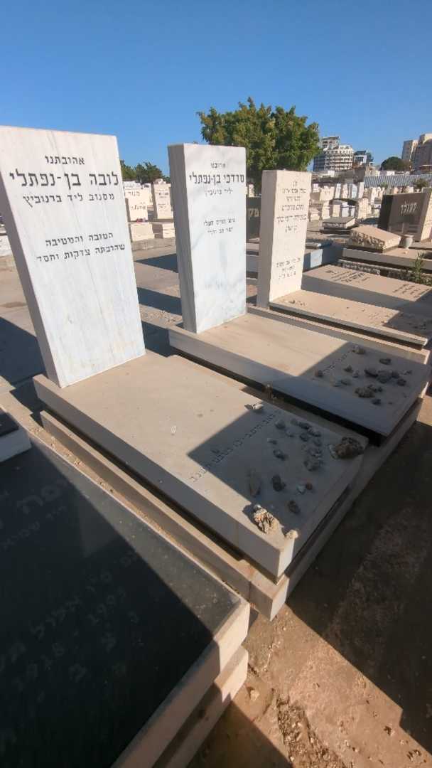 קברו של מרדכי בן - נפתלי. תמונה 2