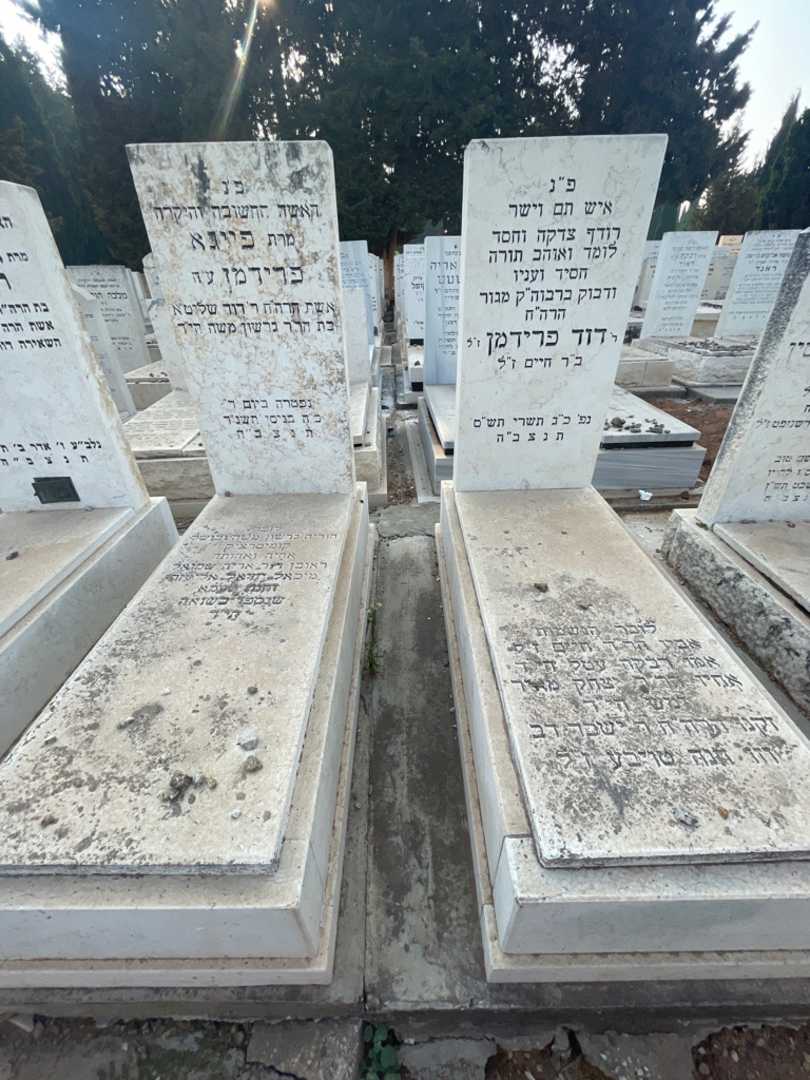 קברו של דוד פרידמן. תמונה 1