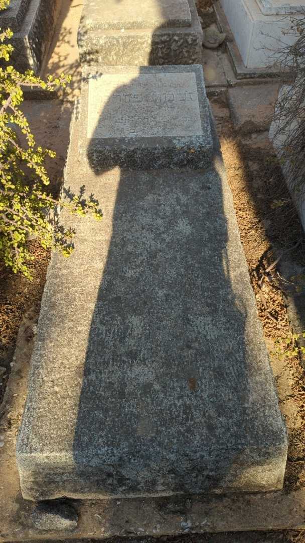 קברו של זלמר פדרמן