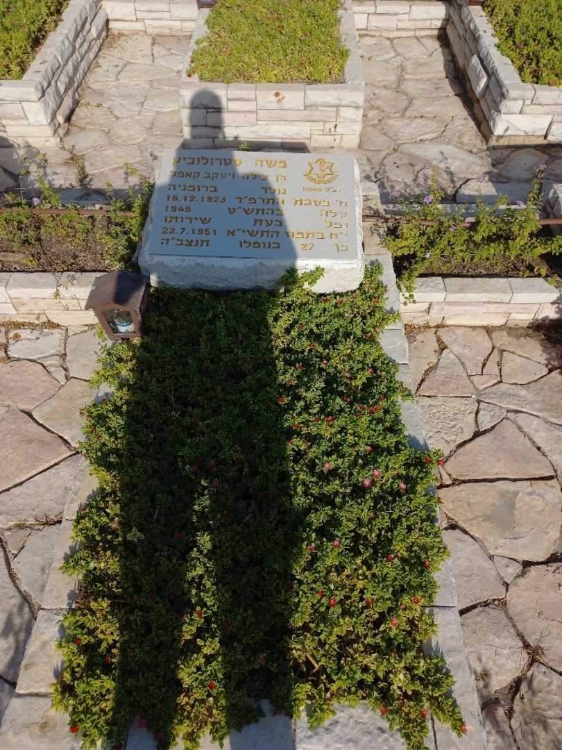 קברו של משה סטרולוביץ