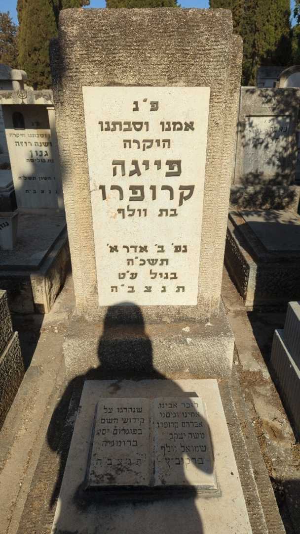 קברו של משה יעקב ברקוביץ