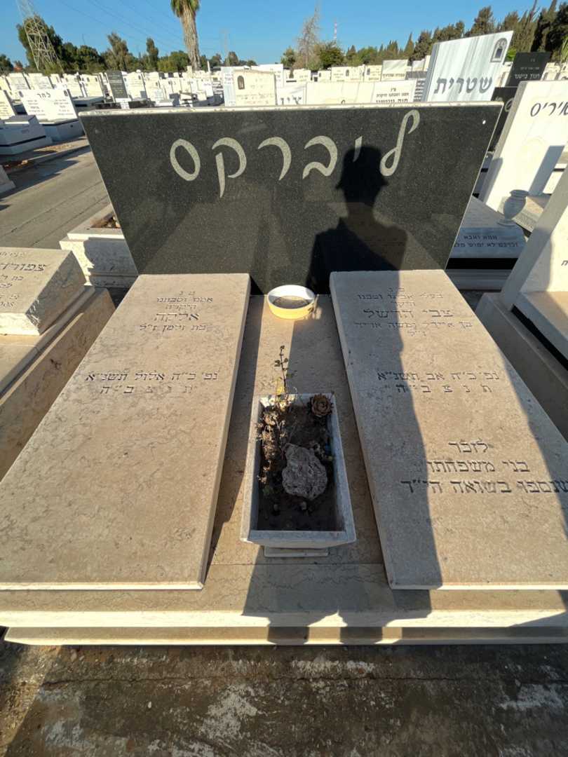 קברו של אלקה ליברקס. תמונה 2
