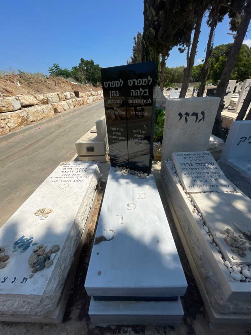 קברו של אליעזר משה בוכהלטר. תמונה 1