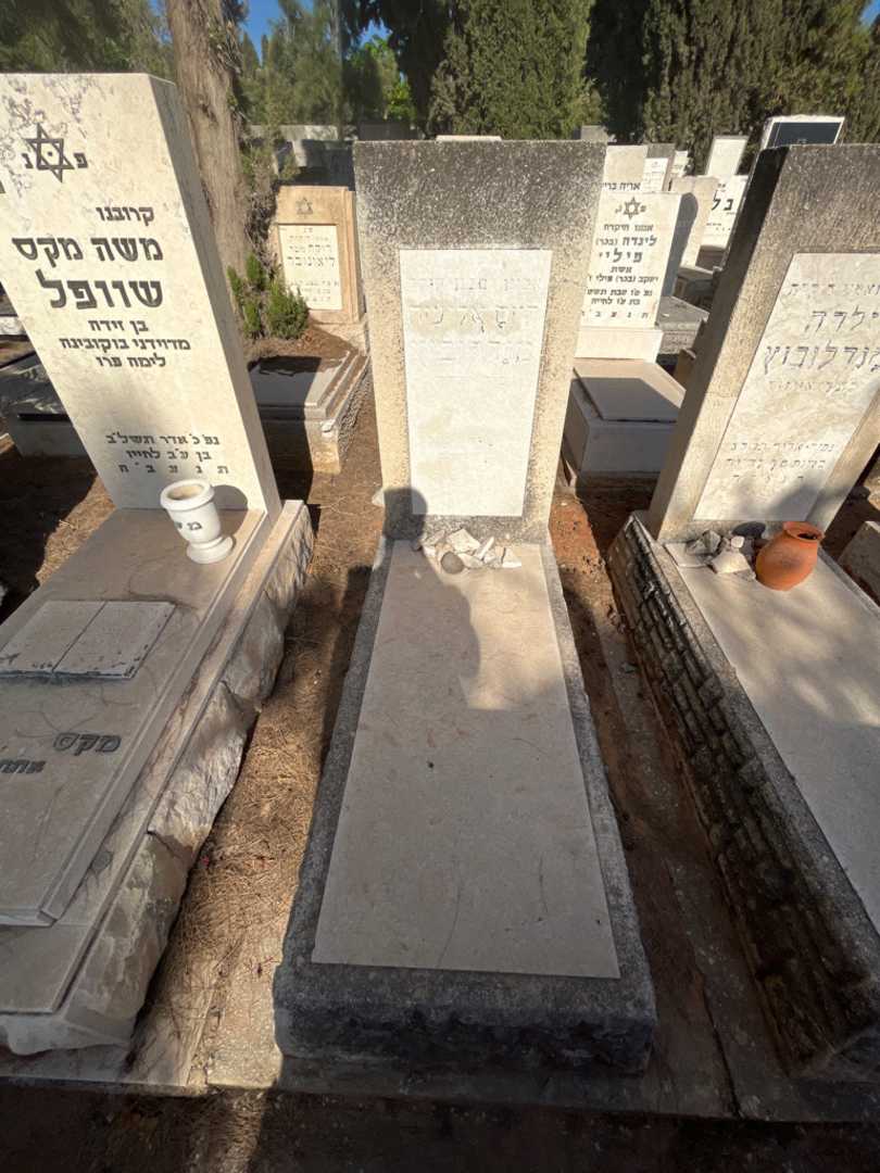 קברו של חיים אליעזר מנדלוביץ