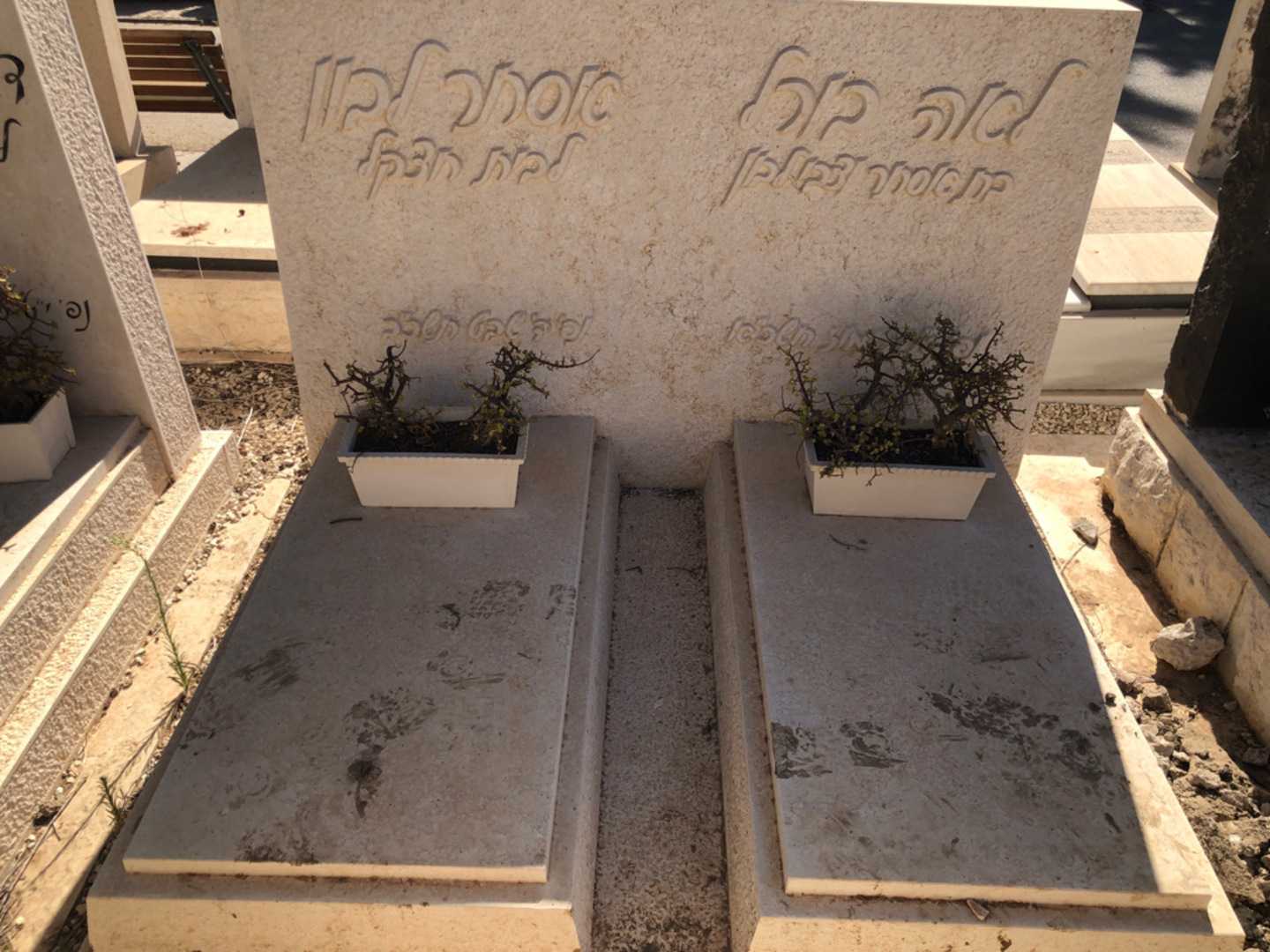 קברו של אסתר לבון. תמונה 2