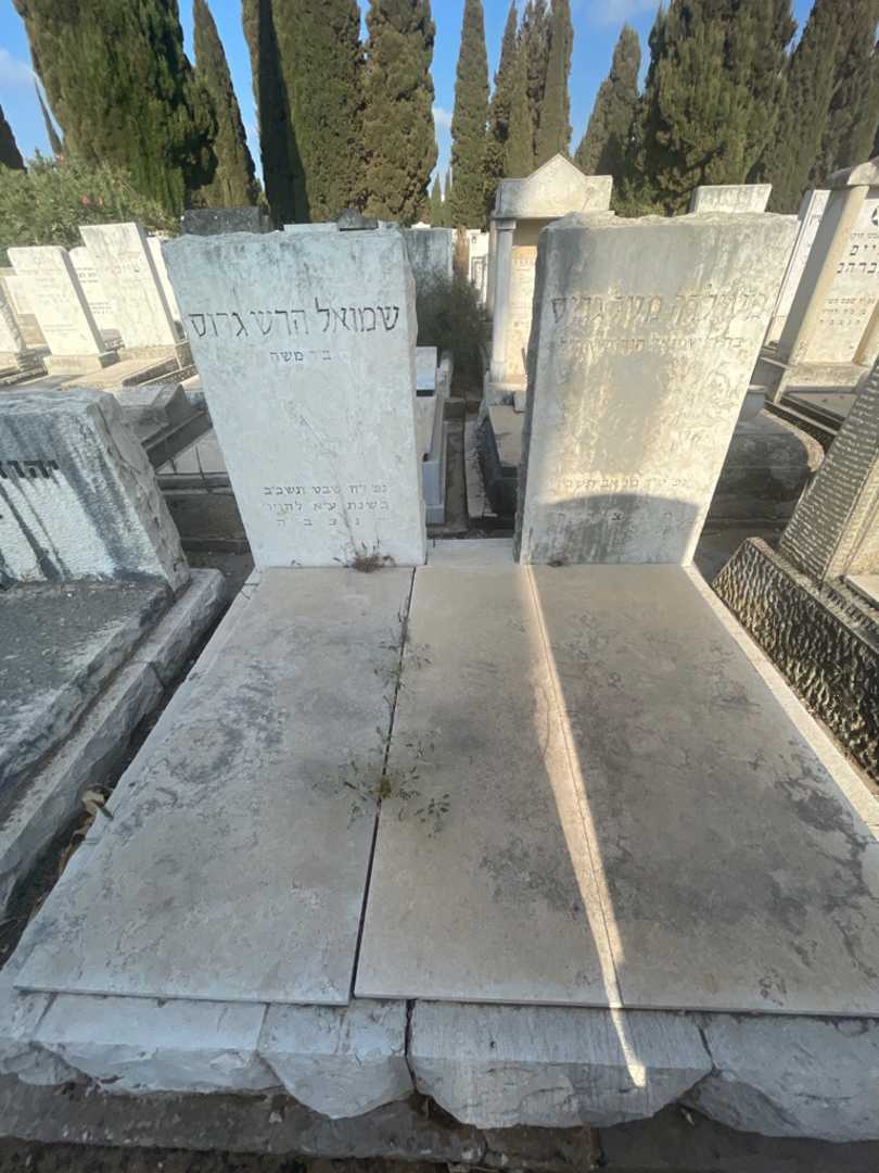 קברו של שמואל הרש גרוס. תמונה 1