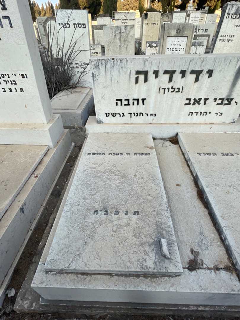 קברו של זהבה "בלוך" ידידיה. תמונה 2