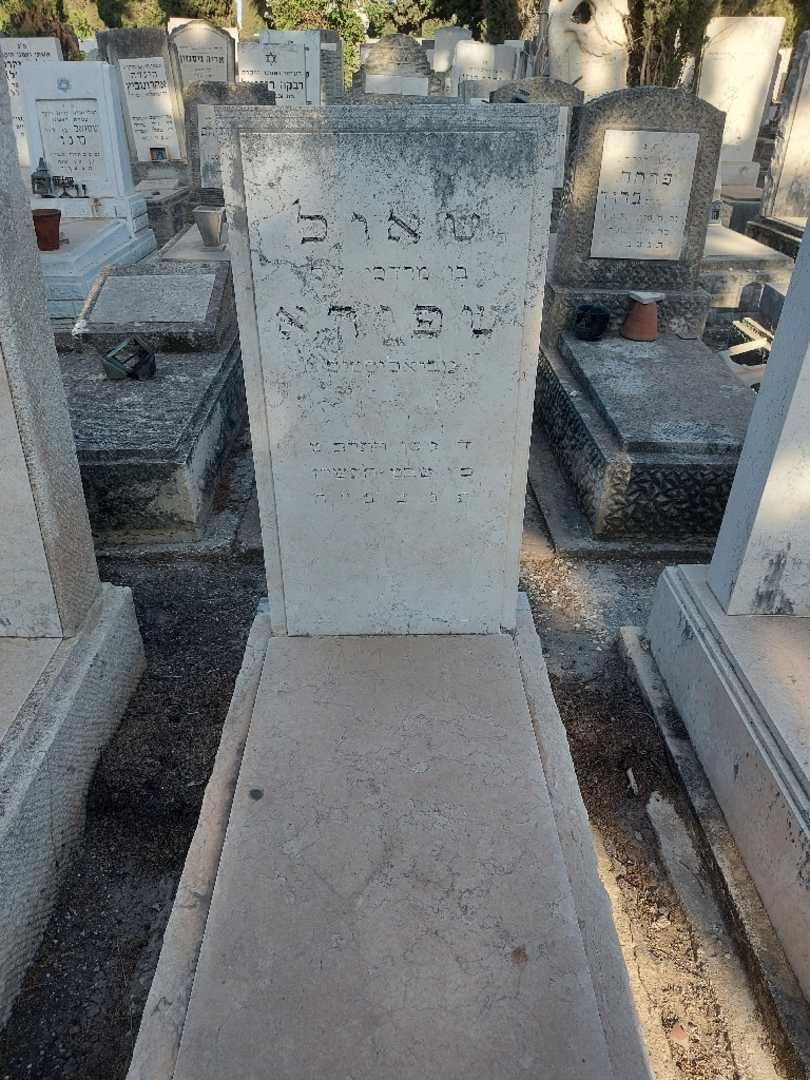 קברו של שאול שפירא